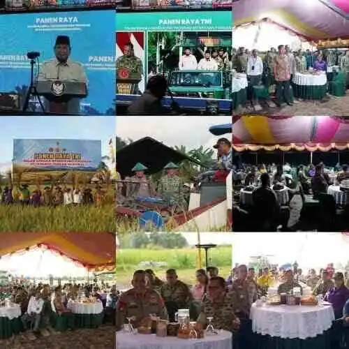 Panen Raya TNI di Papua Barat, Pangdam XVIII/Kasuari Tegaskan Komitmen Wujudkan Ketahanan Pangan Nasional
