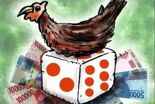 Warga Sebut Ada Arena Judi, Polisi Diminta Jangan Tutup Mata Terhadap Dugaan di Ngancar