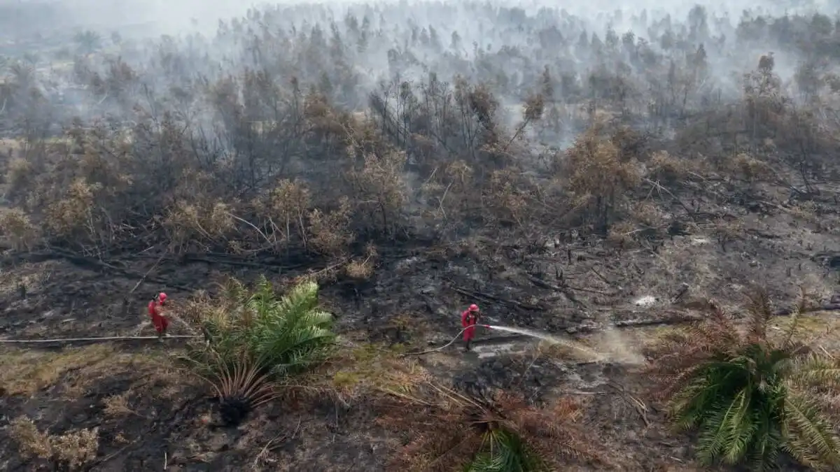 Kebakaran Hutan dan Upaya Pemadaman di Ogan Komering Ilir