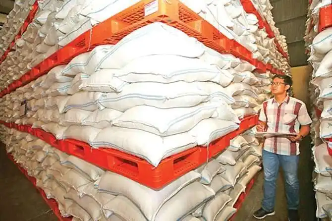 Produksi Pangan Nasional di Tengah Tantangan El Niño