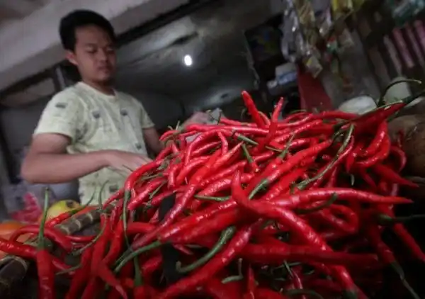 Kenaikan Harga Cabai dan Komoditas Pangan di Pasar Tradisional
