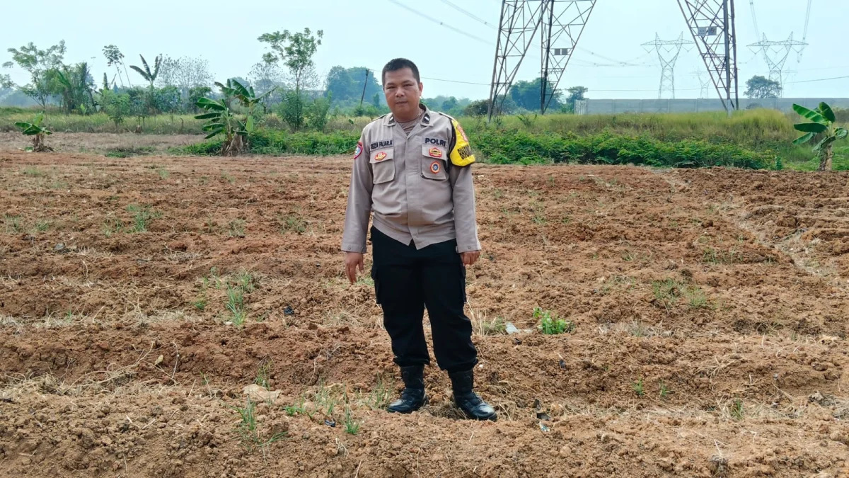 Dukung Program Ketahanan Pangan, IPTU Mahdi Cek Kesiapan Lahan Jagung di Desa Bojong