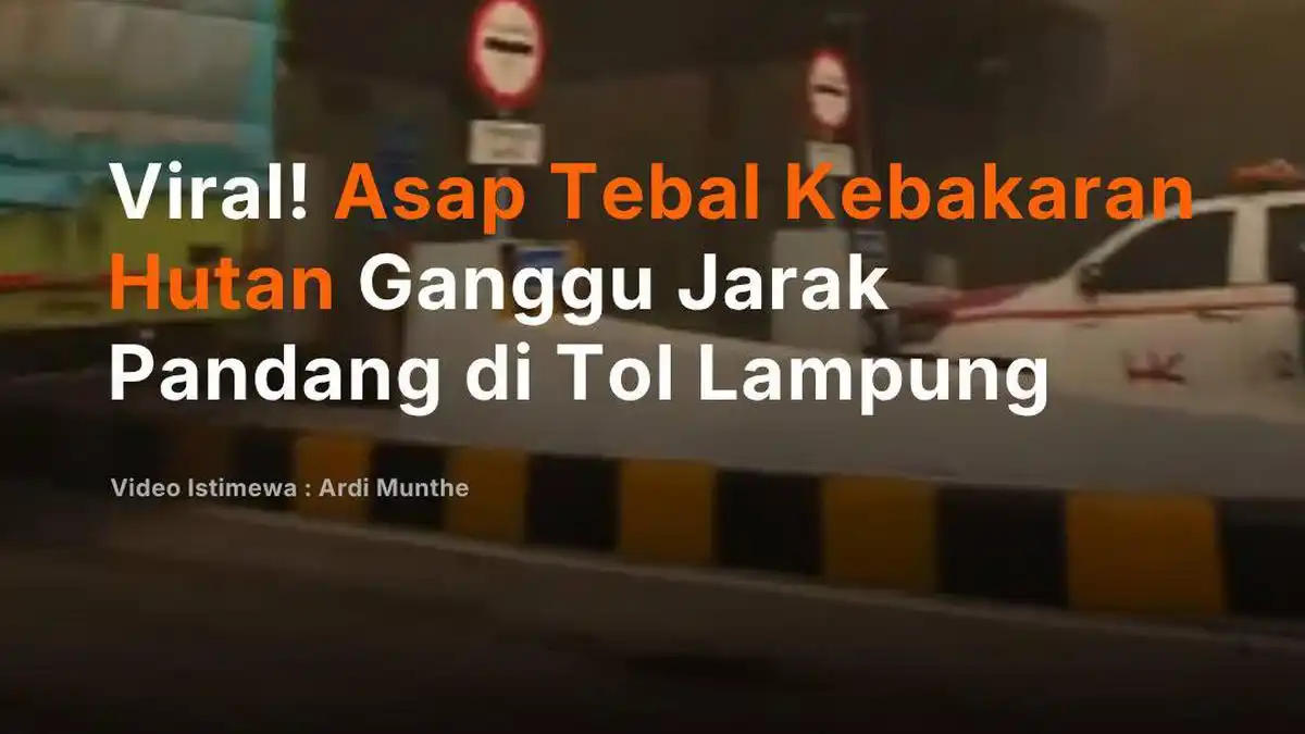 Asap Kebakaran Lahan Mengurangi Jarak Pandang di Tol Terpeka