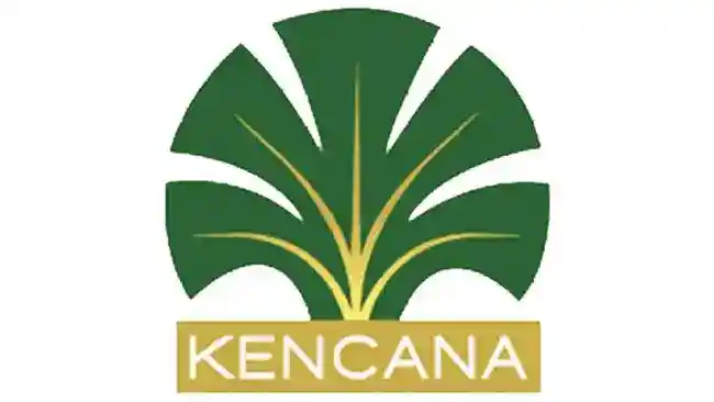 Kebakaran di Konsesi Kalimantan Jadi Sorotan, Kencana Agri Paparkan Sikap