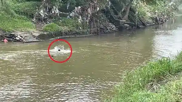 Penggerebekan Dugaan Peredaran Narkoba di Medan, Sejumlah Orang Kabur ke Sungai