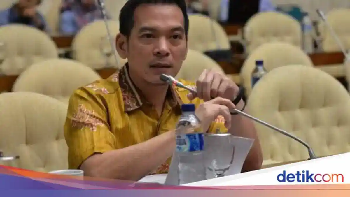 Daniel Johan Desak Pengusutan Kebun Sawit di Lahan Bekas Karhutla Dharmasraya