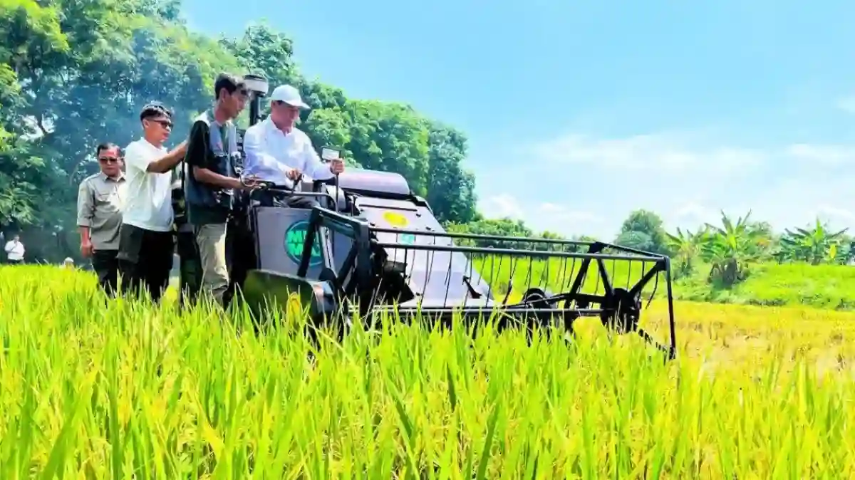Ketahanan Pangan Indonesia: Kenaikan Produksi dan Penguatan Cadangan Beras