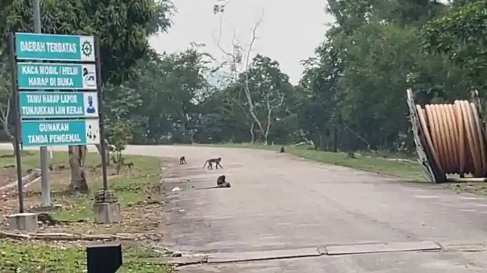 Lima Orang Jadi Tersangka dalam Kasus Padamnya Listrik Batam dan Bintan