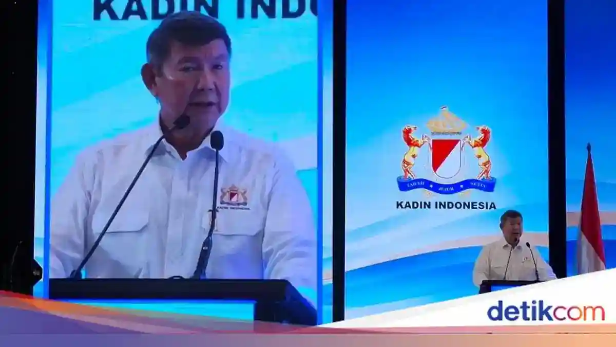 Peringatan Hashim soal Risiko Jika Pasar Modal Indonesia Turun Kelas