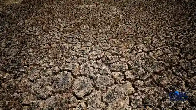 Proyeksi Dampak Super El Niño: Indonesia Diperkirakan Menghadapi 19.300 Kematian Tambahan