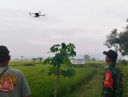 Optimalkan Produktifitas Pertanian, Babinsa Koramil 0811/14 Kerem Dampingi Pemupukan Menggunakan Teknologi Drone