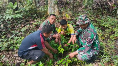 IMG 20250703 WA0128