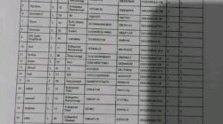 Dunia Transportasi Berduka: KMP Tunu Pratama Jaya Tenggelam di Selat Bali, Puluhan Penumpang Jadi Korban
