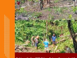 Babinsa Kodim 1505 Tidore Gotong Royong Ambil Kayu Bakar Bersama Warga 4 Babinsa Kodim 1505 Tidore Gotong Royong Ambil Kayu Bakar Bersama Warga