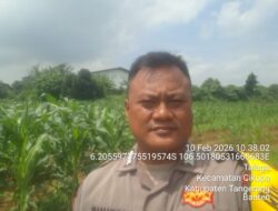 Bhabinkamtibmas Desa Talaga Laksanakan Kontrol Lahan Jagung, Dukung Program Ketahanan Pangan