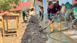 WhatsApp Image 2026 02 11 at 13.53.55 2