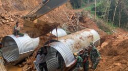 WhatsApp Image 2026 02 12 at 13.40.52