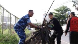 WhatsApp Image 2026 02 15 at 12.10.03