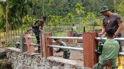 WhatsApp Image 2026 02 17 at 12.59.53 1