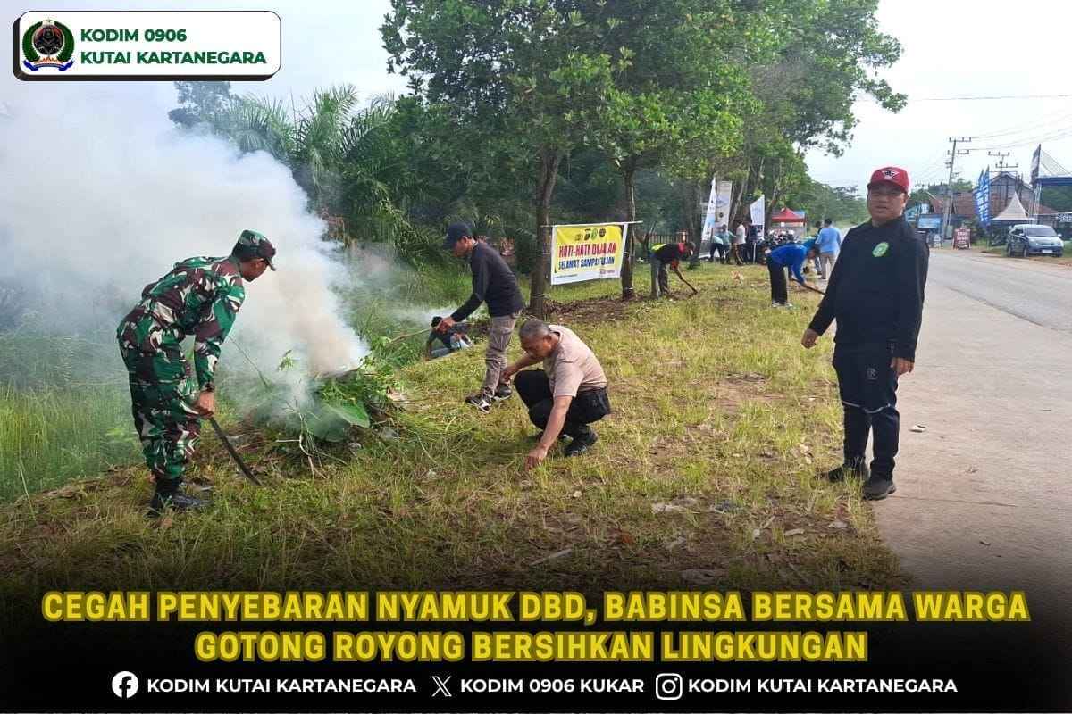 Cegah Penyebaran Nyamuk DBD, Babinsa Bersama Warga Gotong Royong Bersihkan Lingkungan Cegah Penyebaran Nyamuk DBD, Babinsa Bersama Warga Gotong Royong Bersihkan Lingkungan