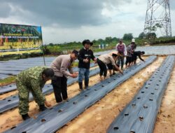 Bhabinkamtibmas Polsek Cikupa Hadiri Penanaman Jagung Hibrida Program 1 Desa 2 Hektare di Desa Bojong