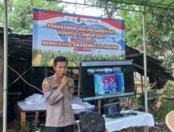 Polsek Cikupa Ikuti Zoom Meeting dan Penanaman Jagung Serentak Kuartal I Tahun 2026