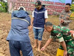 Bhabinkamtibmas Polsek Cikupa Hadiri Penanaman Jagung Hibrida Program 1 Desa 2 Hektare di Desa Sukanagara