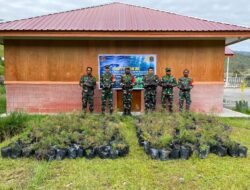 Kodim 1714/Puncak Jaya Bersama Rakyat Tanam Bibit Cemara Sebagai Generasi Mendatang Untuk Kabupaten Puncak Jaya