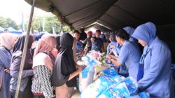 WhatsApp Image 2026 03 13 at 19.15.25