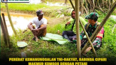 Pererat Kemanunggalan TNI-Rakyat, Babinsa Cipari Makmur Komsos dengan Petani 13 foto website42