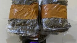 Polisi Sorong Bongkar Peredaran Ganja, Wanita 40 Tahun Ditangkap: Satresnarkoba Sorong Amankan 750 Gram