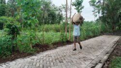 Aktivitas Warga Brabe Lancar Setelah Jalan Paving TMMD Ke-128 Rampung