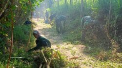 Satgas TMMD Ke-128 Kodim 0820/Probolinggo dan Warga Desa Brabe Gelar Pembersihan Jalan di Dusun Klagin