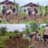 Satgas TMMD Ke-128 Kodim 1801/Manokwari Gotong Royong Bersihkan Pekarangan RTLH