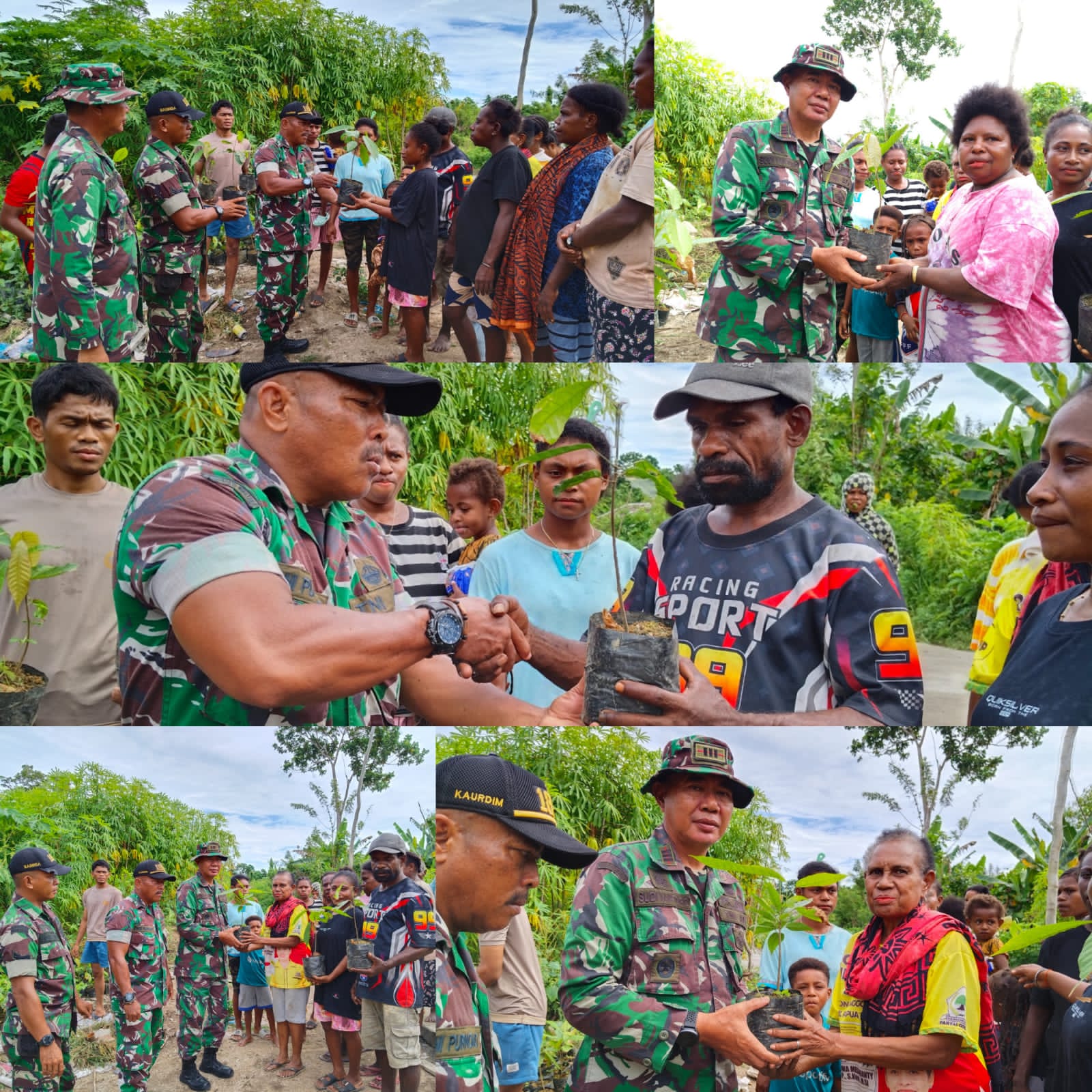 Pembagian Bibit Kakao, Satgas TMMD Ke-128 Kodim 1801/Manokwari Dorong Peningkatan Ekonomi Warga
