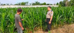 Polisi Probolinggo Kota Masuk Area Pertanian, Program Ketahanan Pangan Presiden Diperkuat