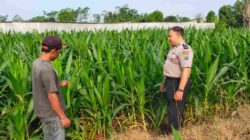 Polisi Probolinggo Kota Masuk Area Pertanian, Program Ketahanan Pangan Presiden Diperkuat