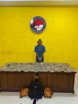 Satresnarkoba Polresta Sorong Kota Gagalkan 4,8 Kilogram Ganja, Satu Tersangka Diamankan