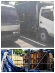 Penyalahgunaan Solar Subsidi di Nganjuk: Warga Jadi Saksi Aktivitas Mencurigakan