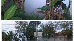 Subuh Belum Usai, Warga Selogabus Sudah Dikejutkan Asap dari Gudang PT NESR