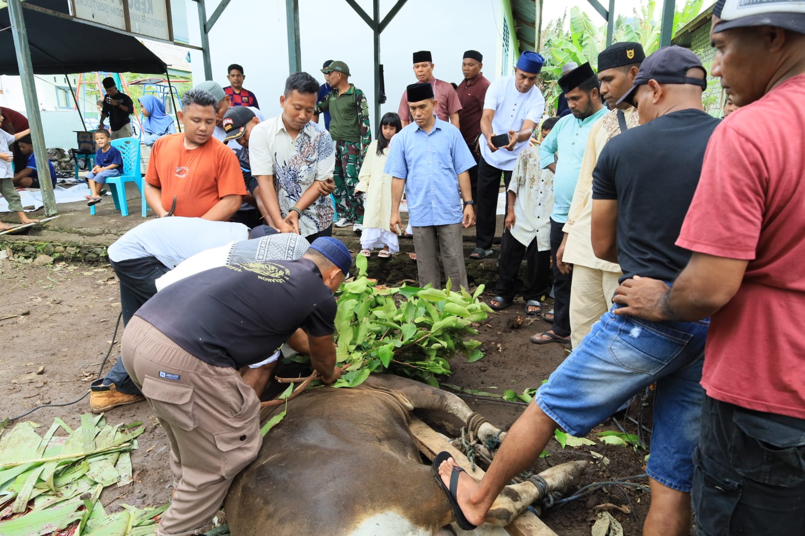 Tebar Kebahagiaan di Hari Raya, Kodim 1505/Tidore Sembelih Hewan Qurban