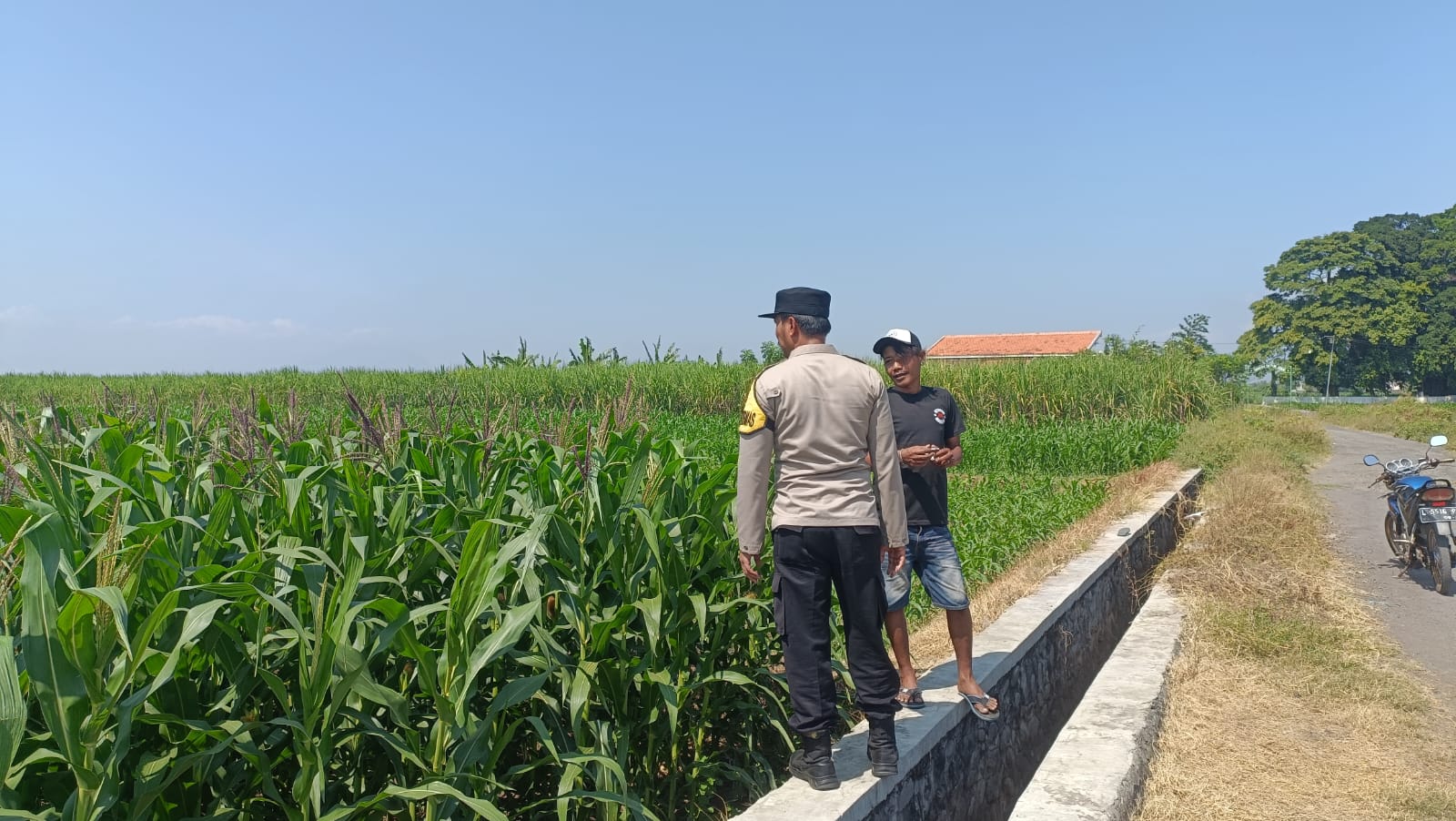 Kawal Produksi Jagung, Polisi Perkuat Sinergi dengan Petani di Kademangan