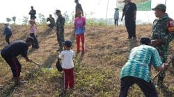Pembinaan Lingkungan Hidup, Kodim Bojonegoro Tanam Ribuan Pohon Kayu Putih dan Balsa