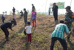Pembinaan Lingkungan Hidup, Kodim Bojonegoro Tanam Ribuan Pohon Kayu Putih dan Balsa