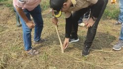 Penanaman Jagung Hibrida Program 1 Desa 2 Hektare 2026 di Desa Cibadak, Polri Dorong Ketahanan Pangan Nasional