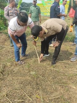 Penanaman Jagung Hibrida Program 1 Desa 2 Hektare 2026 di Desa Cibadak, Polri Dorong Ketahanan Pangan Nasional