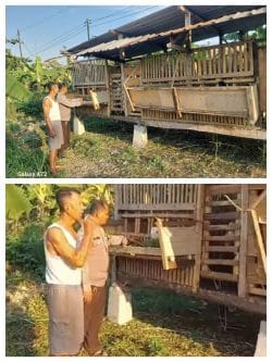 Bhabinkamtibmas Bangil Pantau Budidaya Ternak Kambing di Latek, Dukung Program P2B Asta Cita Bhabinkamtibmas Bangil Pantau Budidaya Ternak Kambing di Latek, Dukung Program P2B Asta Cita