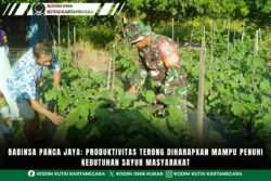 Babinsa Panca Jaya: Produktivitas Terong Diharapkan Mampu Penuhi Kebutuhan Sayur Masyarakat