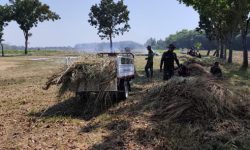 Sinergi TNI dan Masyarakat, Siap Sukseskan TMMD 129 di Kedungadem Bojonegoro Sinergi TNI dan Masyarakat, Siap Sukseskan TMMD 129 di Kedungadem Bojonegoro