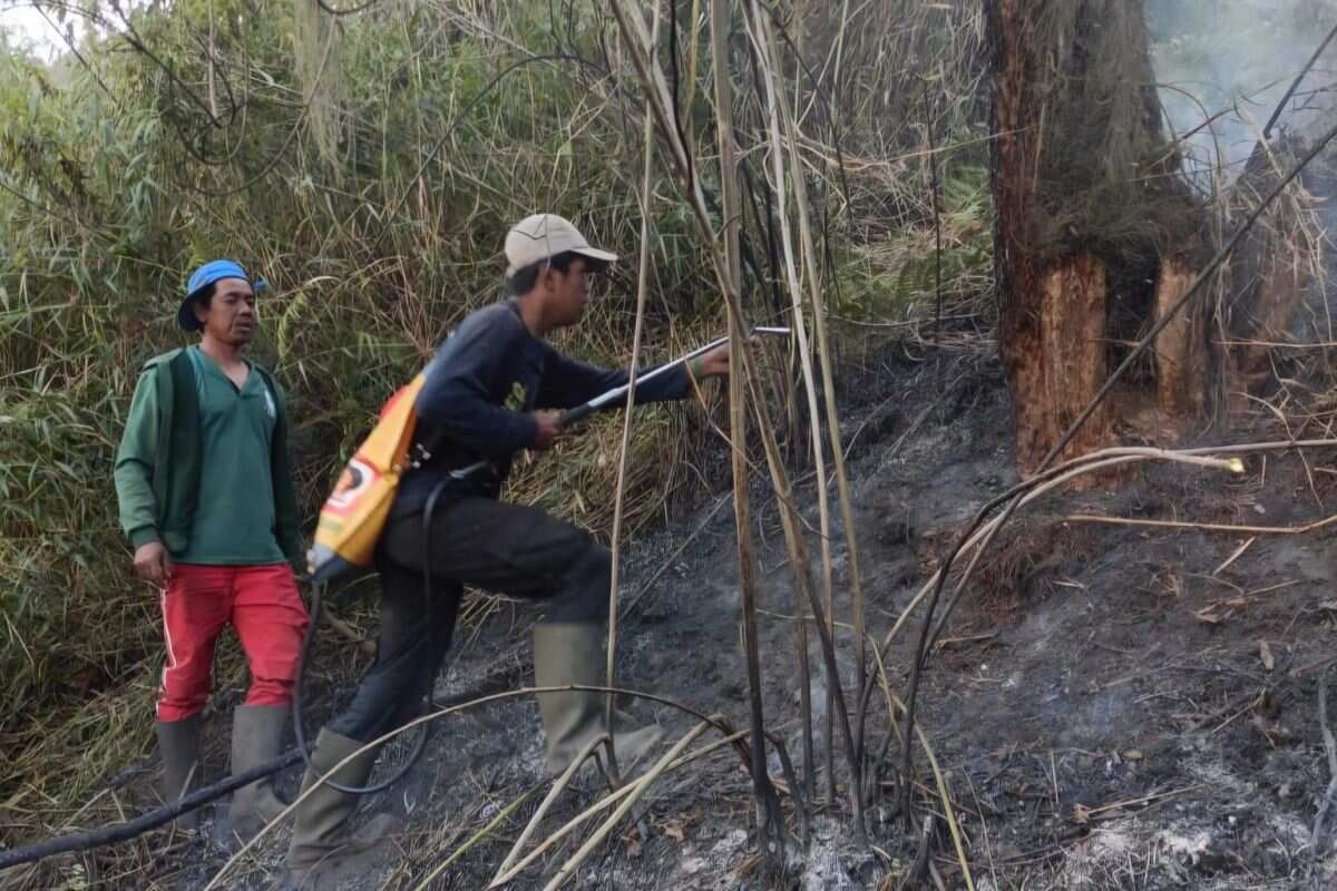 BB TNBTS tutup total pendakian Semeru usai kebakaran Blok Ranu Kembang BB TNBTS tutup total pendakian Semeru usai kebakaran Blok Ranu Kembang
